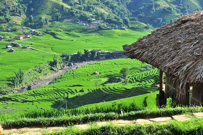 3-Day Trekking Adventure of Sapa from Hanoi - Stay Ta Van Village - Day 2: Bamboo Forest to Giang Ta Chai and Back to Ta Van