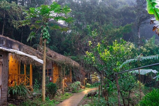 3-Day Trekking Adventure of Sapa from Hanoi - Stay Ta Van Village - Day 1: Y Linh Ho to Ta Van via the Terraces and Muong Hoa Valley