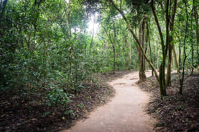 Afternoon Cu Chi Tunnels - Small Group Half-Day Tour - Afternoon timing (13:00) and how to plan around it