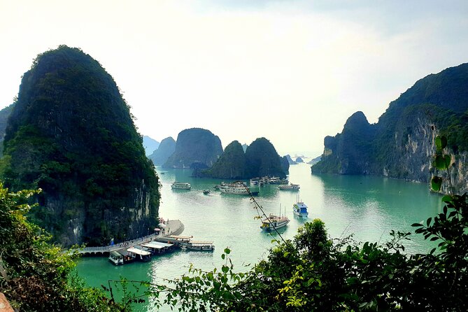 Best seller Halong bay 6 hours cruise - Ti Top (Titop) Island hike for panoramic Halong Bay photos