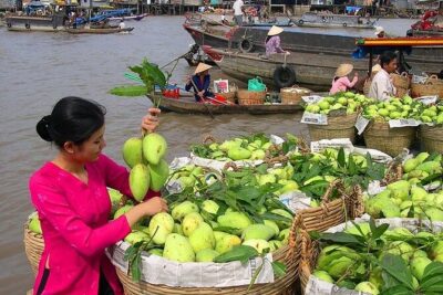 Cai Rang Floating Market & Mekong Delta 2-Day Tour from HCM City - Day 1: Vinh Trang Pagoda and Ben Tre’s coconut production stops