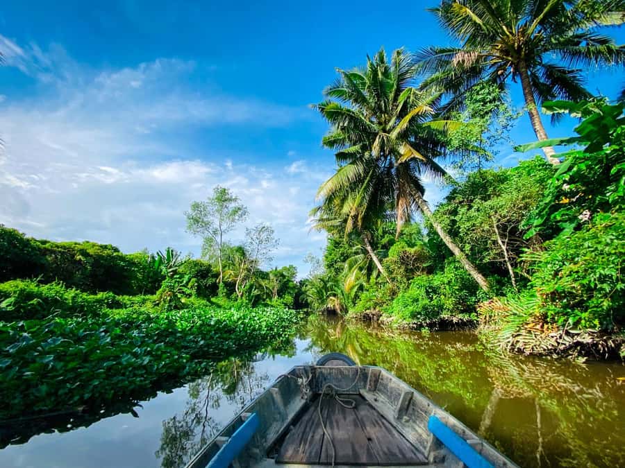 Can Tho: A Real Mekong Tour, Floating Market, Cacao & Life's - Tropical fruit garden tasting: education you can actually taste