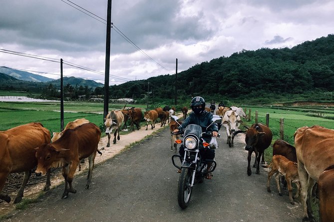 Da Lat's Countryside & Waterfalls Day Tour by Motorbike - Key things to know before you ride