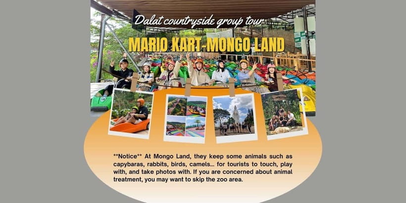 Dalat: Go Kart - Mongo Land - Countryside Small Group - The go-kart-style morning: pine roads, speed, and photos