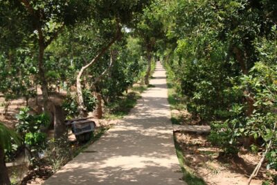 Essential Mekong Delta: Highlights Tour from Ho Chi Minh City - My Tho Tien River cruise: the islands you can spot by name