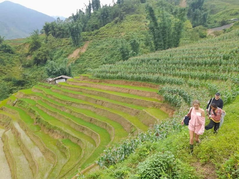 From Hanoi: 2-Day Sa Pa Ethnic Homestay Tour with Trekking - Should You Book This Hanoi to Sa Pa Ethnic Homestay Trek?