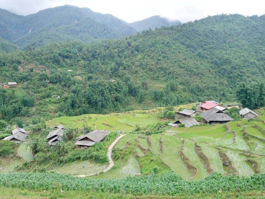 From Hanoi: 2-Day Sapa Trekking Trip with Homestay & Meals - Free time in Sapa: use the market window wisely