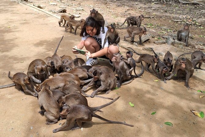 From Ho Chi Minh: Can Gio Trek – Monkey Island & Crocodile Farm - Rung Sac Military Base: war-era bunkers inside a mangrove setting