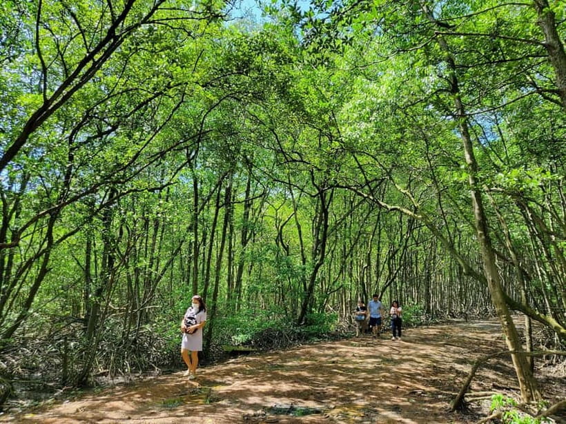 From Ho Chi Minh City: Can Gio Mangrove & Monkey Island Trek - Walking the mangroves: Cần Giờ’s biosphere is a living system