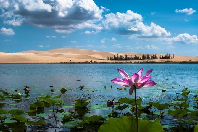 From Ho Chi Minh To Mui Ne Best Day Trip | Sunset Tour - Sleeping Bus to Mui Ne: The Real Trick for a Long Day