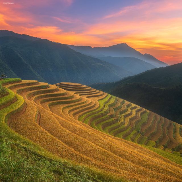 From Sapa: 1-Day Guided Trek to Lao Chai & Ta Van with Lunch - Key Things I Think You’ll Care About