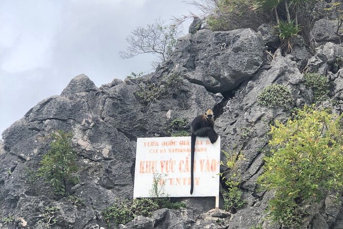 Full day trip to Lan Ha-Ha Long Bay from Cat Ba, avoid the crowds - Pickup timing and the 9-hour reality from Cat Ba