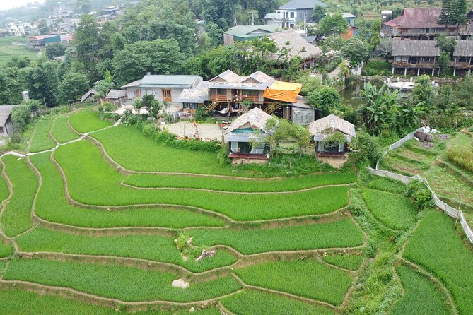 Hanoi - Sapa 3 Day 2 Night Trekking With Hotel & Homestay - Food on the trek: seven meals included, but not equal everywhere