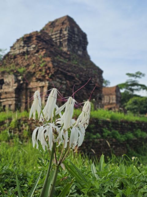 Hoi An: My Son Sanctuary & Sunset River Cruise BBQ or Banhmi - Food Value: Does This Tour Really Feed You?