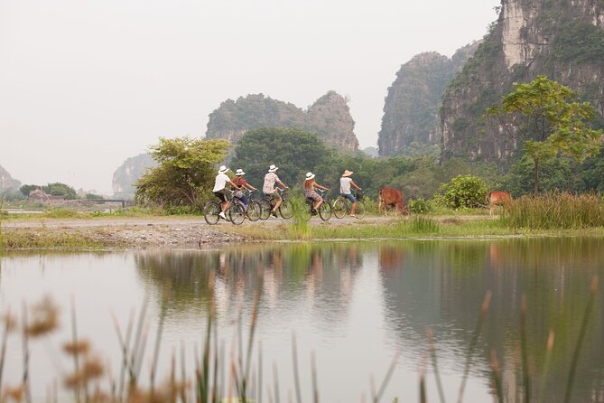 Ninh Binh Day Tour To Visit Hoa Lu - Trang An/Tam Coc - Mua Cave - Mua Cave: 500 steps to a big panorama over Ngo Dong River