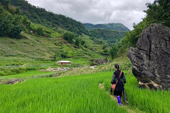 Number one top rated ethical cultural trekking and homestay by ETHOS - Starting at ETHOS: Meeting Point and Why It Matters