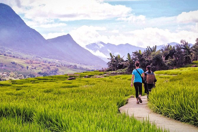 Number one top rated ethical cultural trekking and homestay by ETHOS - Day 2 Hike: Flexibility, Your Pace, and Getting Back to Sapa