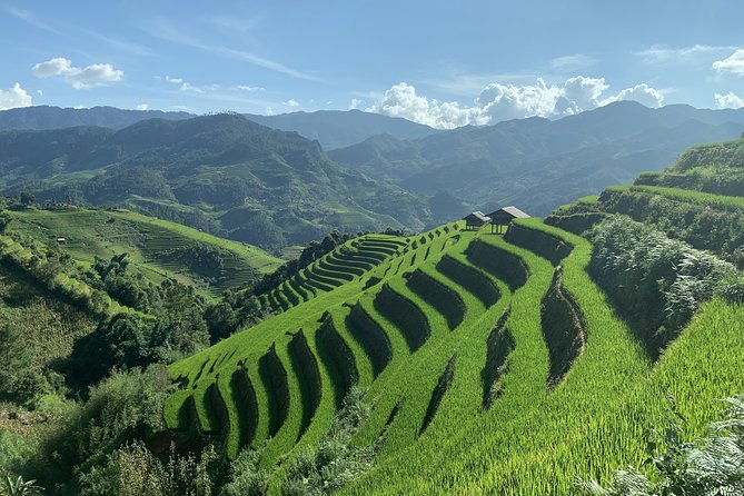Number one top rated ethical cultural trekking and homestay by ETHOS - Weather, Modesty, and Comfort Tips for Sapa Valley