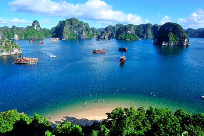 Orchid Cruises Halong Bay 2Day/1Night on 5 Star - Your Cabin Is the Real 5-Star Selling Point