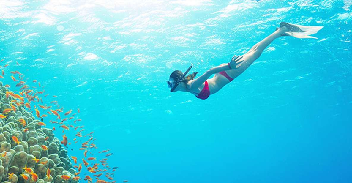 Phu Quoc: Speedboat Tour of 4 Islands with Snorkeling & BBQ - The Rhythm of the Day: Pick Up at 8:30, Back Around 15:00