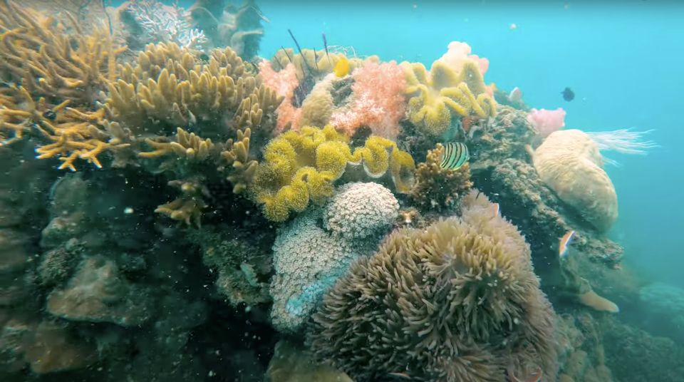 Phu Quoc: Speedboat Tour of 4 Islands with Snorkeling & BBQ - Seafood BBQ Lunch on the Mainland: The Food Upgrade You’ll Feel