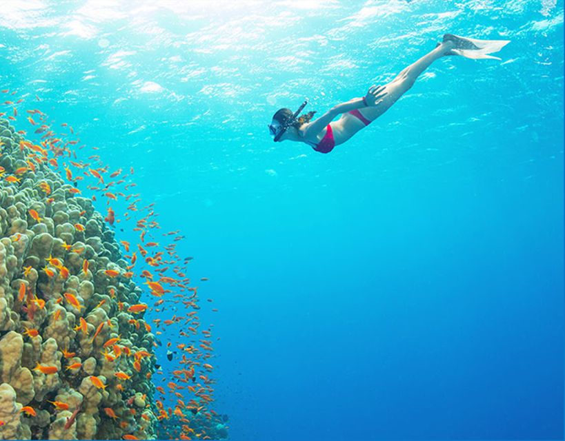 Phu Quoc: Speedboat Tour of 4 Islands with Snorkeling & BBQ - Price and What You Really Get for $56