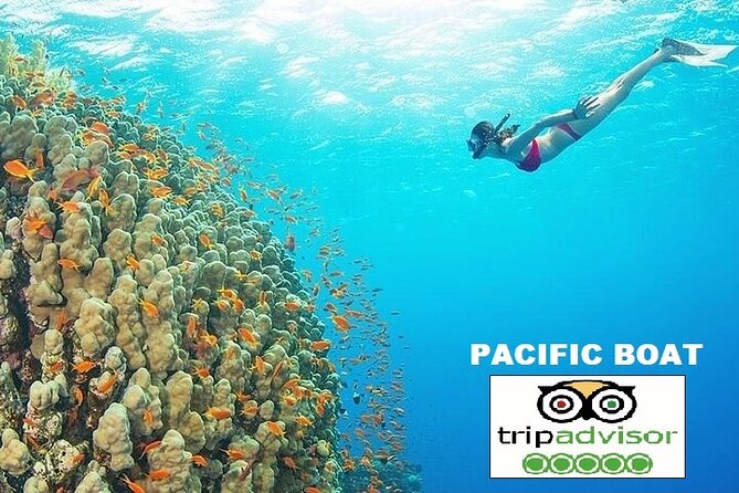 REAL snorkel &island hopping by SPEEDBOAT-EXPLORE CUISINES(MAX12) - Snorkeling gear and fit: bring your own if you’re picky