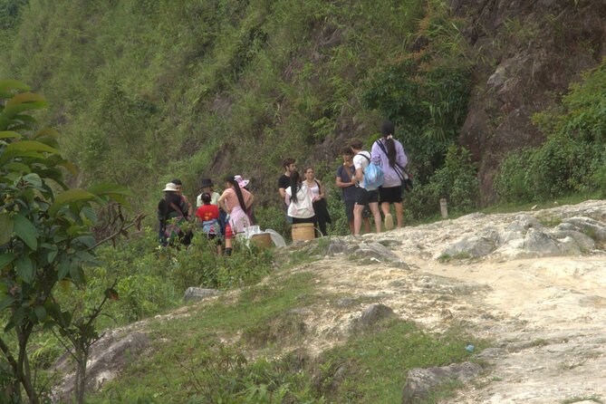 Sa Pa Full Day Trekking Tour - What Makes the Guide Experience Matter (Especially on Rice Terrace Terrain)