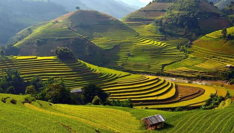 Sa Pa: Muong Hoa Valley Trek and Local Ethnic Villages - River crossings and terraced rice: the part your shoes will remember