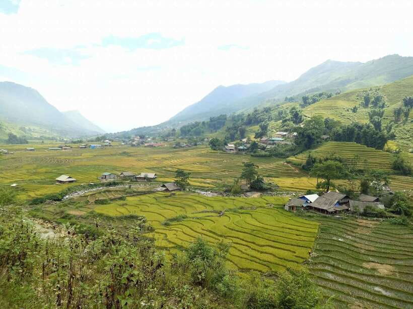 Sa Pa: Muong Hoa Valley Trek and Local Ethnic Villages - Guides and local helpers: how safety and culture work together