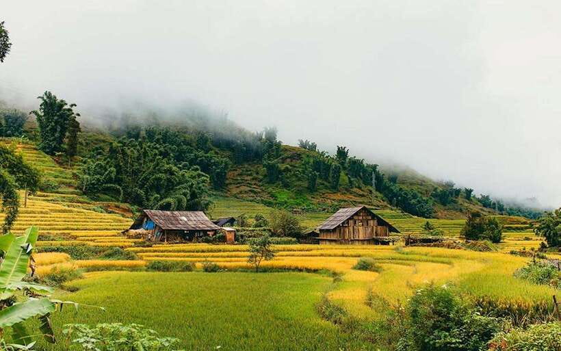 Sa Pa: Muong Hoa Valley Trek and Local Ethnic Villages - What to bring: shoes with grip, plus sun and bugs, plus a little cash
