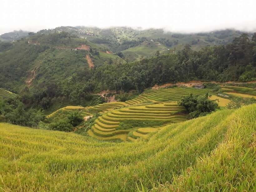 Sa Pa: Muong Hoa Valley Trek and Local Ethnic Villages - The walk plan: from Sa Pa pickup to the 10-kilometer circuit