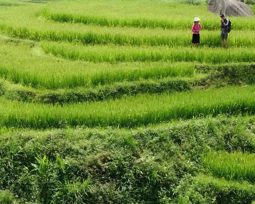 Sapa 1 Day Long Trek: Trek to Hau Thao and Sa Seng Villages - Muong Hoa Valley and rice terraces: Why the views matter even when it’s cloudy