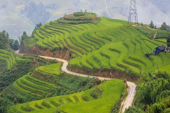 Sapa 3 Days 2 Nights Trekking Tour (1 Night In Ta Van Village, 1 Night In Hotel) - Day 3: Giang Ta Chai Rice Paddies and the Ride Back to Hanoi