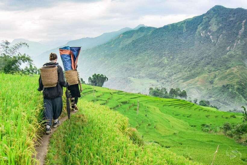 Sapa: Eco Adventure Terrace Fields and Local Villages Trek - Y Linh Ho Village: First Cultural Contact With the Hmong