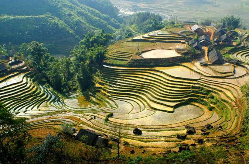 Sapa: Eco Adventure Terrace Fields and Local Villages Trek - Lao Chai Sang Lunch: Home-Cooked Food and Real Hospitality
